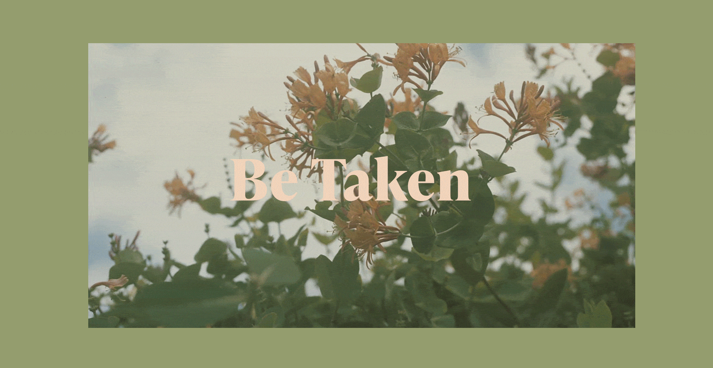 betaken betaken