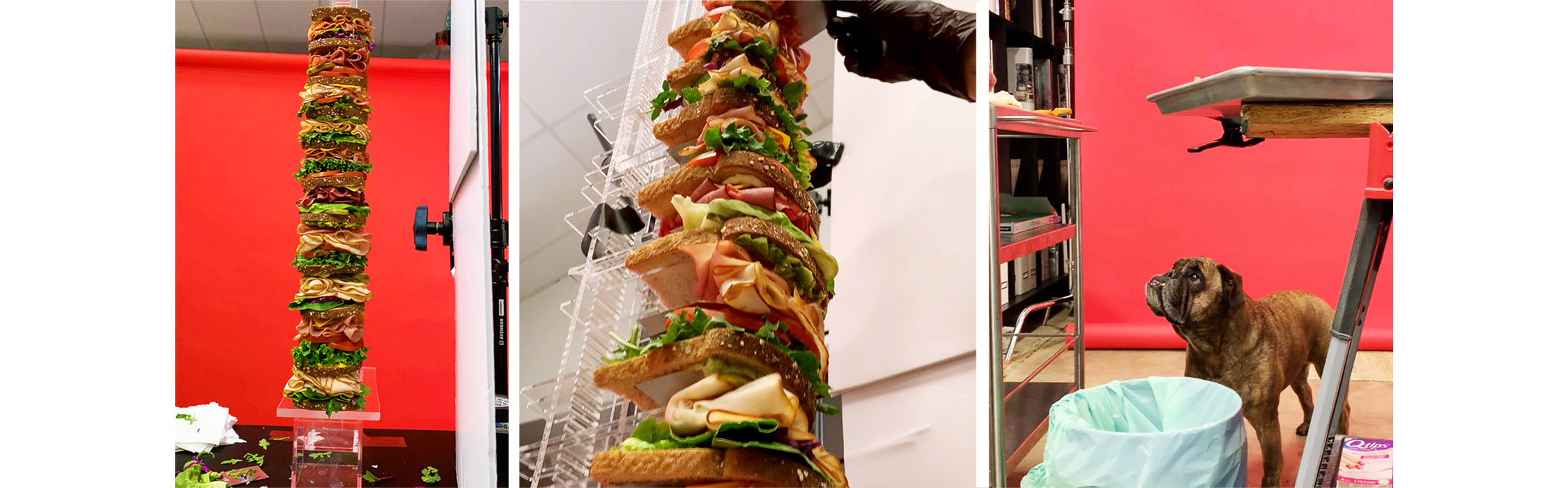 BTSsandwichbuildcopy BTSsandwichbuildcopy