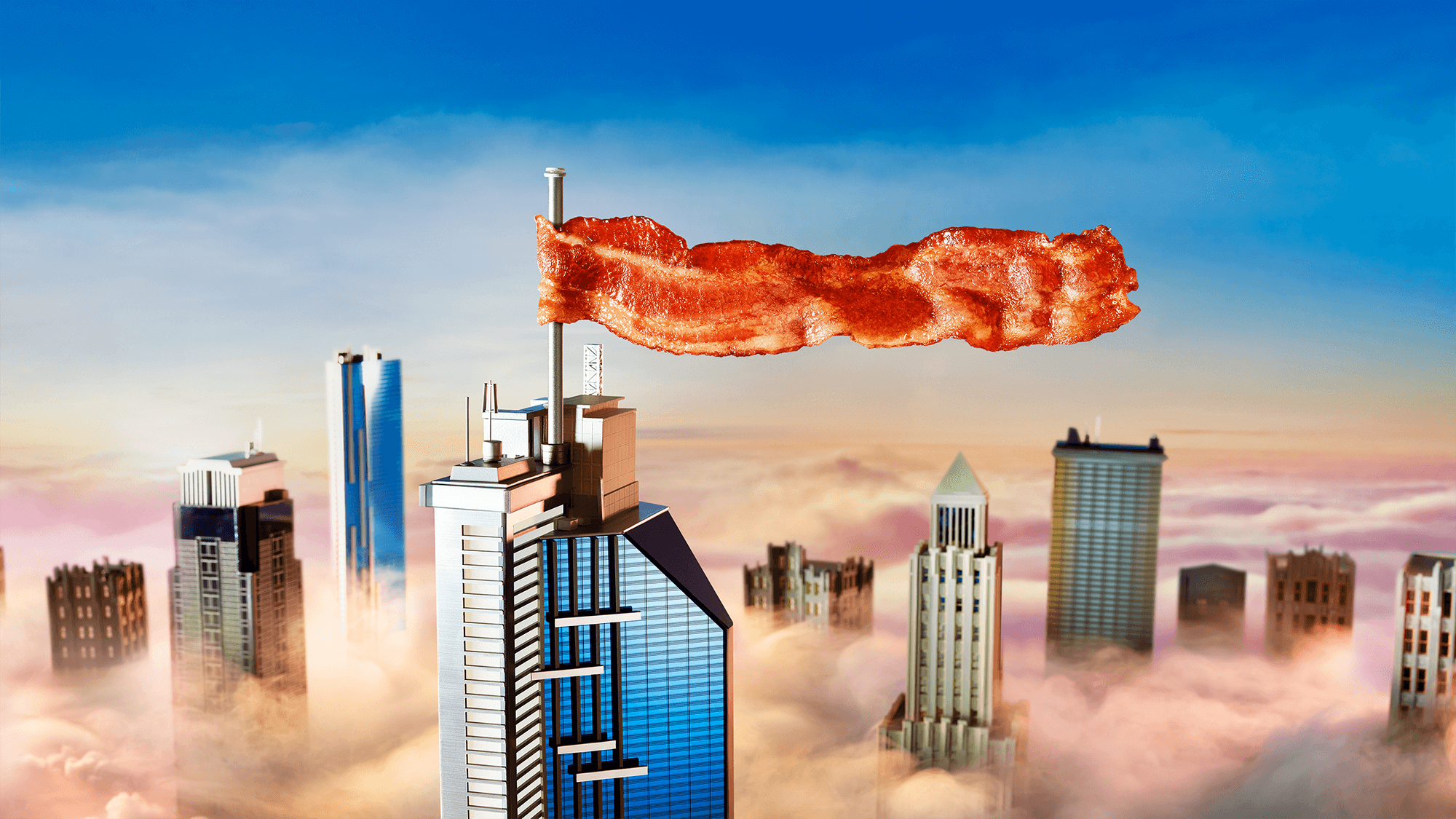 bacon bacon